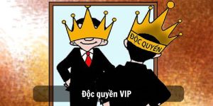 Độc quyền VIP - Những ưu đãi mới nhất trong năm 2025 cho thành viên