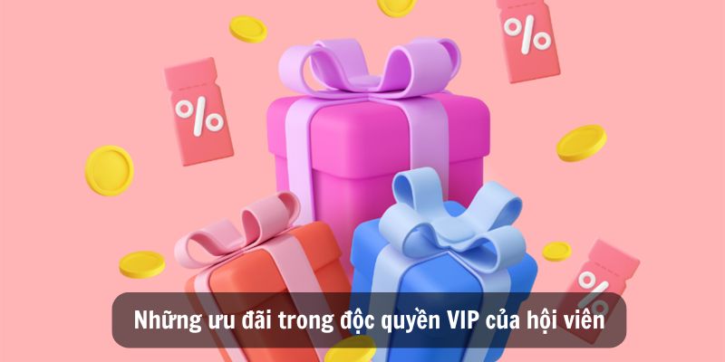 Những ưu đãi trong độc quyền VIP của hội viên