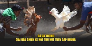 Đá Gà Thomo - Giải Đấu Chiến Kê Hot Thu Hút Truy Cập Khủng