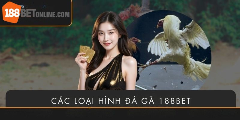Thỏa sức chọn loại hình gà đá tại sảnh đá gà 188bet
