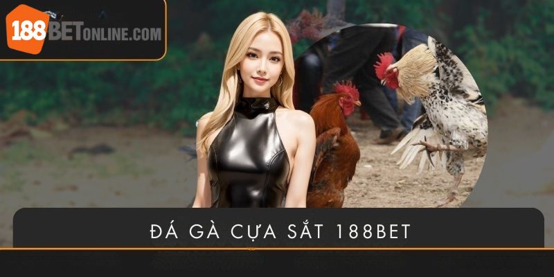 Tham gia cuộc chiến không hồi kết với đá gà 188bet cựa sắt