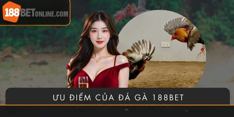 Điểm danh một vài điểm thu hút công chúng đến với đá gà 188bet
